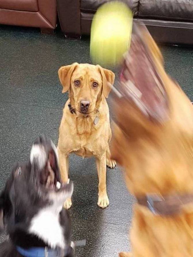 Às vezes a vida pode ser muito deprimente (16 fotos) 15