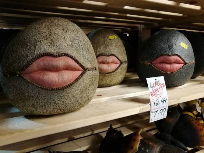 Às vezes você simplesmente não pode explicar (32 fotos) 11