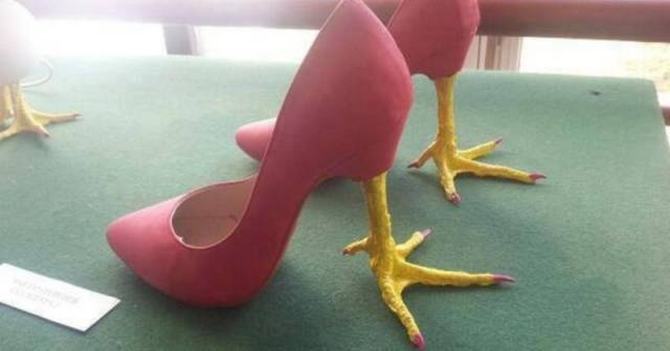 Às vezes você simplesmente não pode explicar (32 fotos) 12