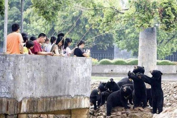 China nunca pára de nos chocar com coisas bizarras (28 fotos) 1 China nunca pára de nos chocar com coisas bizarras (28 fotos) 1