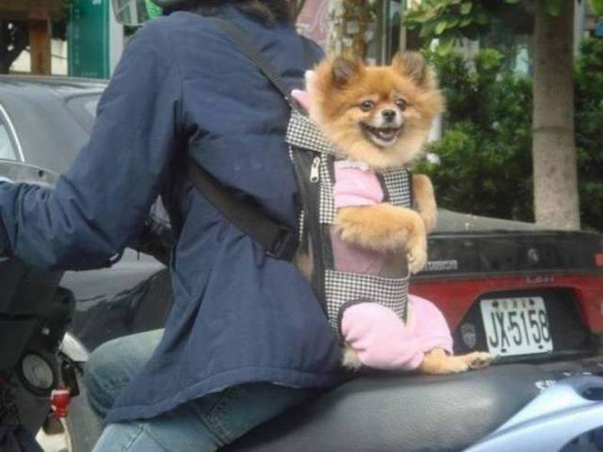China nunca pára de nos chocar com coisas bizarras (28 fotos) 4 China nunca pára de nos chocar com coisas bizarras (28 fotos) 4