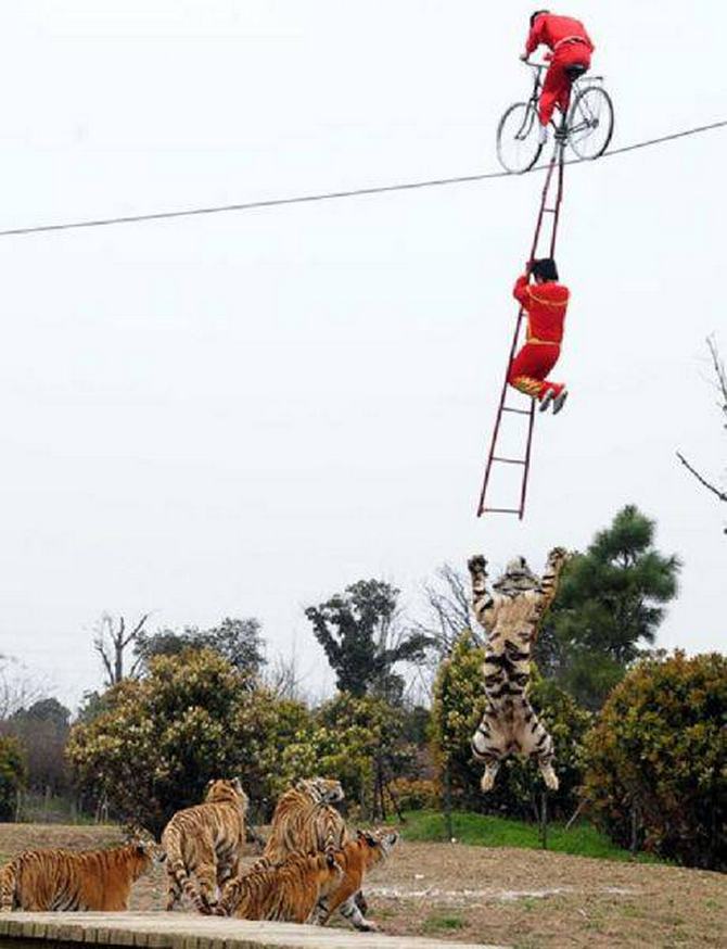 China nunca pára de nos chocar com coisas bizarras (28 fotos) 7 China nunca pára de nos chocar com coisas bizarras (28 fotos) 7