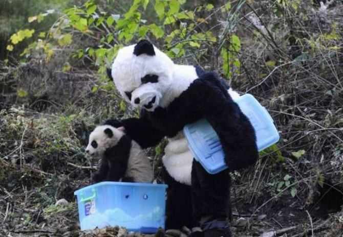 China nunca pára de nos chocar com coisas bizarras (28 fotos) 16 China nunca pára de nos chocar com coisas bizarras (28 fotos) 16