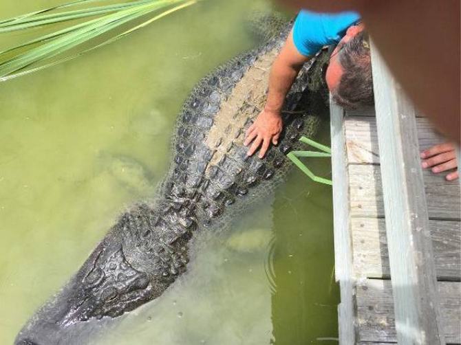 É melhor ficar longe! (23 fotos) 10