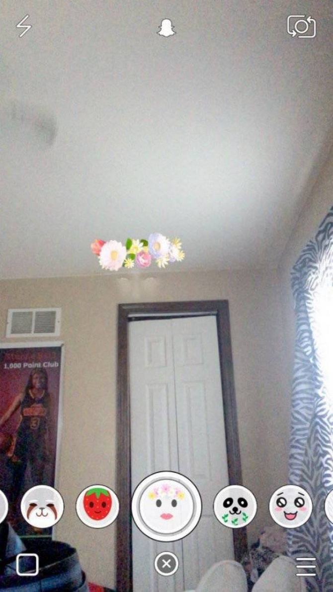 É melhor ficar longe! (23 fotos) 23