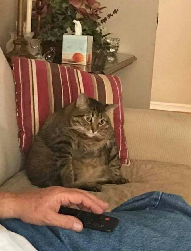 O que você faria se tivesse o salário do Neymar? 10 O que você faria se tivesse o salário do Neymar? 10