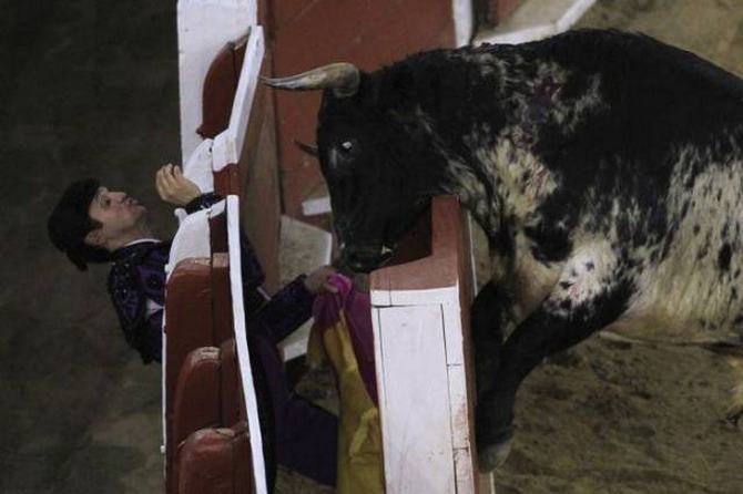 O desastre está chegando! (38 fotos) 10