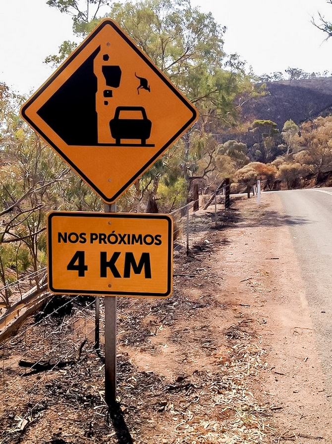 20 placas épicas encontradas no Brasil 12