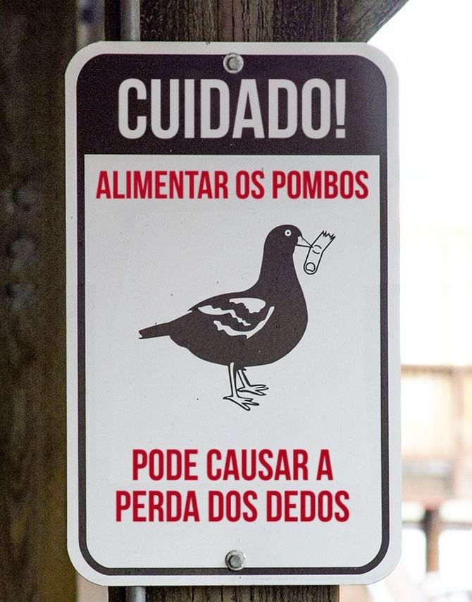 20 placas épicas encontradas no Brasil 20
