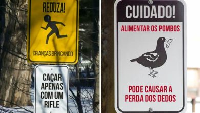 20 placas épicas encontradas no Brasil 3