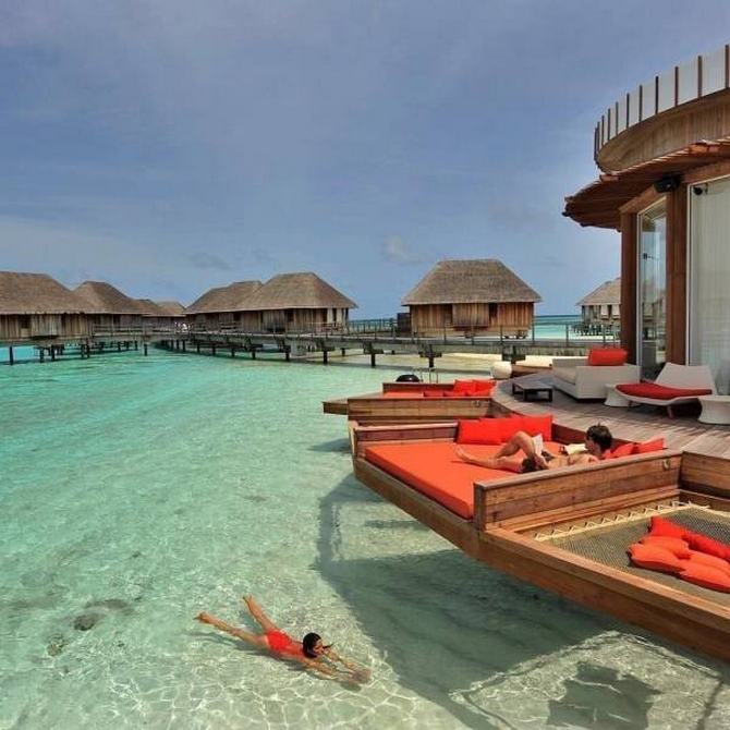 Quem se importa com o que eu preciso, eu quero isso agora mesmo (29 fotos) 6