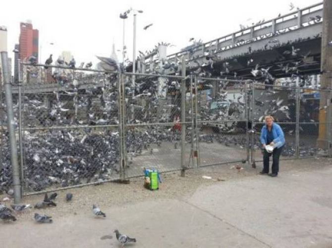 Sem limite na zueira (20 fotos) 10