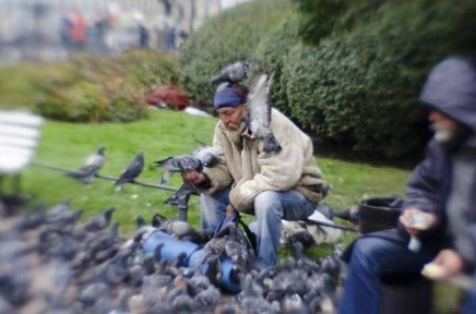 Sem limite na zueira (20 fotos) 15