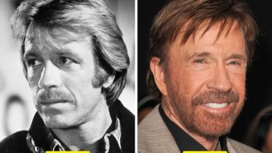 24 transformações de celebridades que o deixarão chocado 49