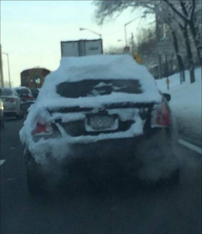 Você não pode ficar mais preguiçoso do que isso! (33 fotos) 4