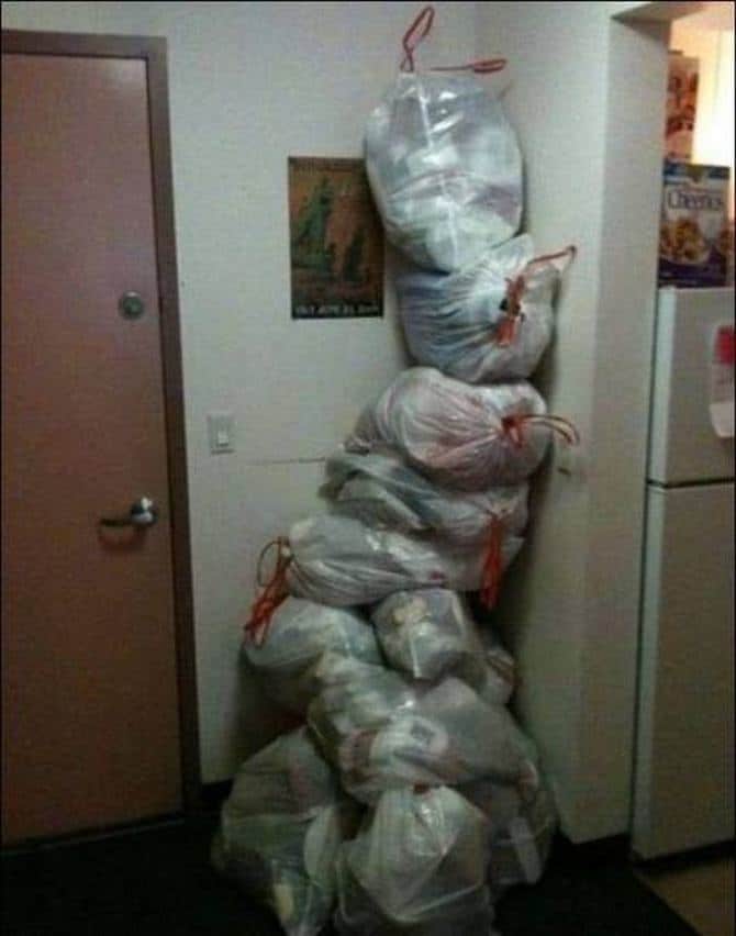 Você não pode ficar mais preguiçoso do que isso! (33 fotos) 7