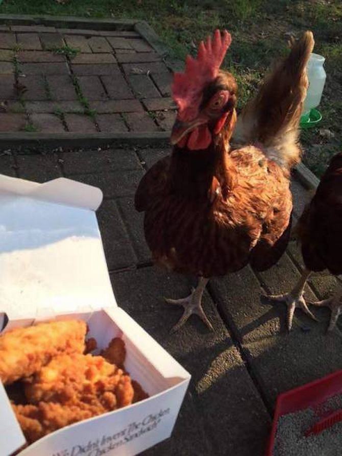 Algo incrivelmente desconhecido está acontecendo aqui (32 fotos) 6