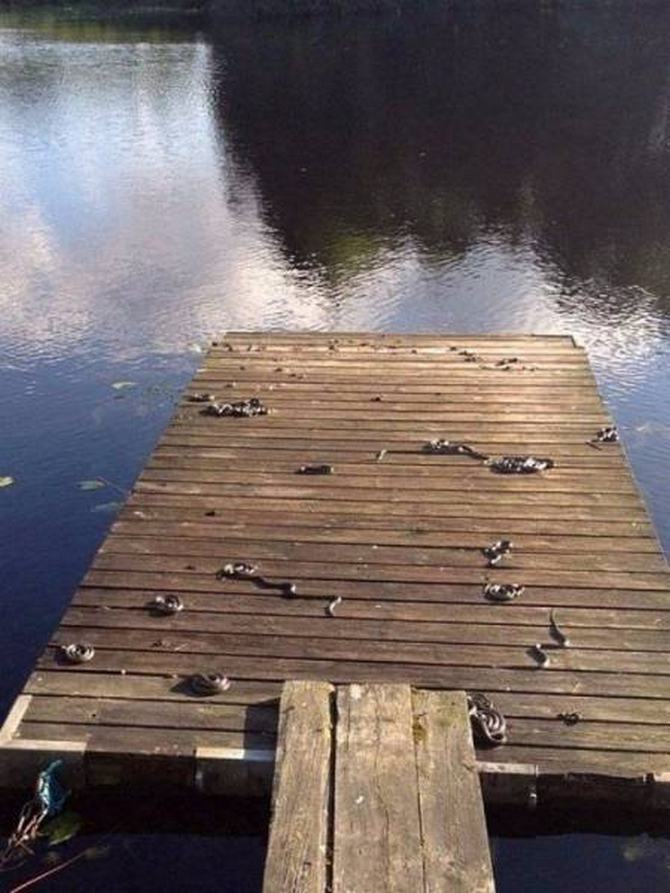 Algo incrivelmente desconhecido está acontecendo aqui (32 fotos) 10