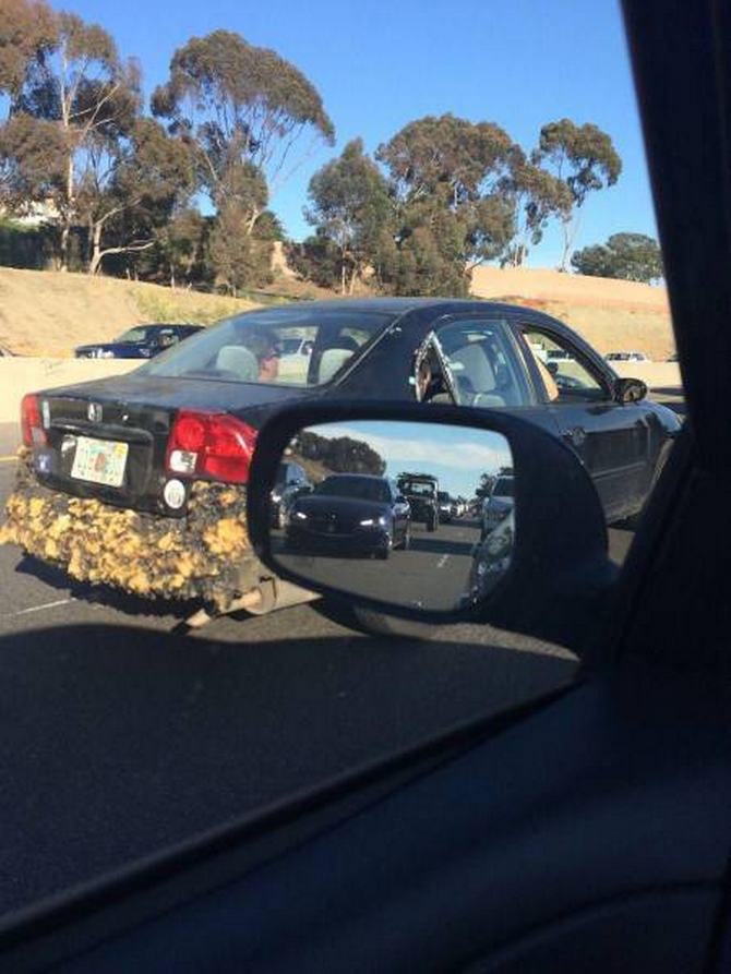 Algo incrivelmente desconhecido está acontecendo aqui (32 fotos) 25