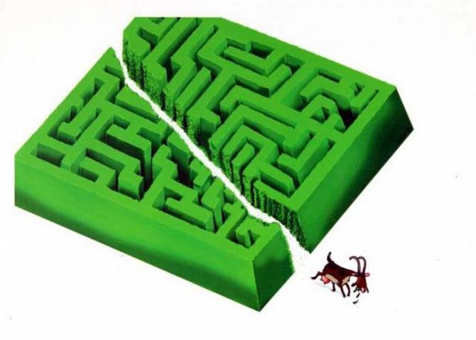 Às vezes, a verdade da vida pode ser exibida com uma imagem simples (31 fotos) 12