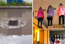 18 fotos que podem conduzir alguém a loucura 32