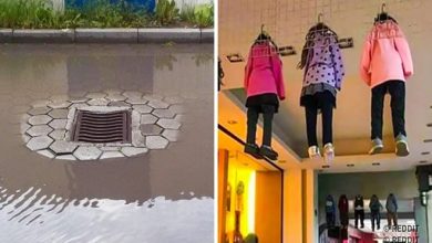 18 fotos que podem conduzir alguém a loucura 35
