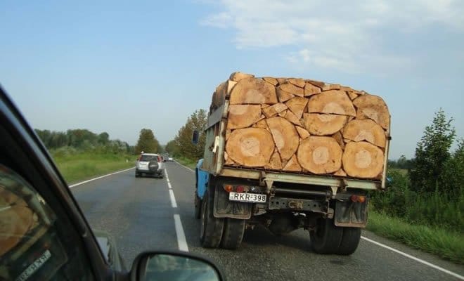18 fotos tão perfeitas que você não acreditará