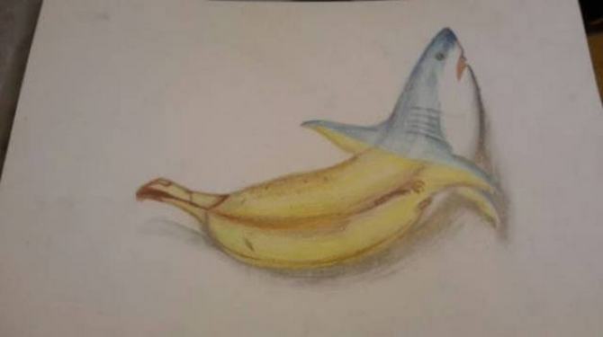 Não tente nem entender isso (21 fotos) 12