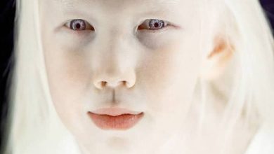 10 pessoas que você não vai acreditar que realmente existem 49