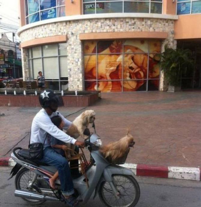 Segurança? O que é isso? (40 fotos) 5