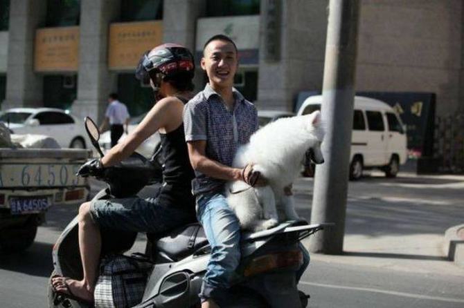 Segurança? O que é isso? (40 fotos) 12