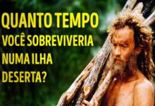 Quanto tempo você sobreviveria em uma ilha deserta? 2