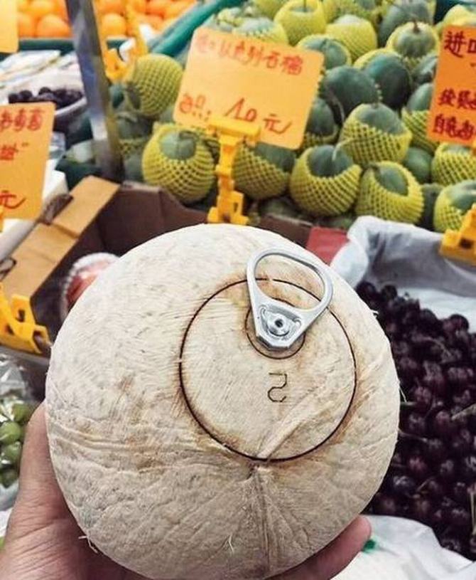 A preguiça é o maior poder neste mundo (42 fotos) 12