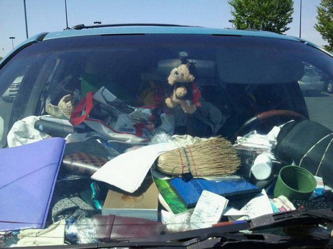 A preguiça é o maior poder neste mundo (42 fotos) 31