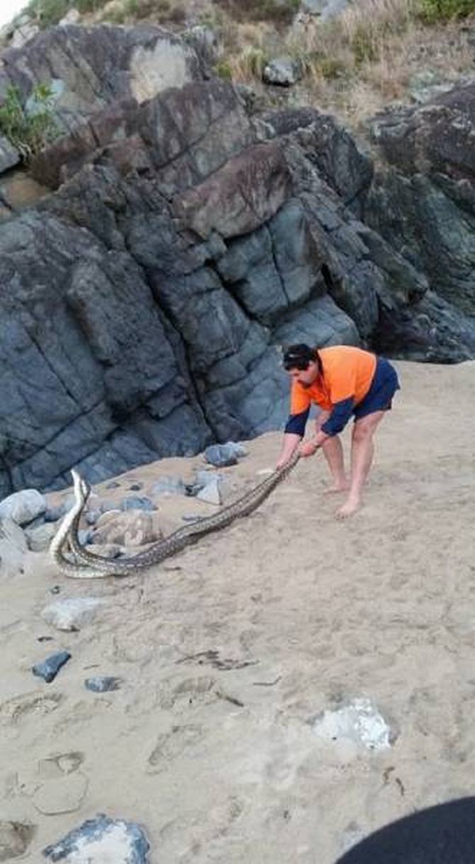 Austrália: Sim Ou Não? Decisão difícil! (32 fotos) 23