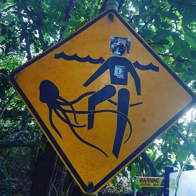 Austrália: Sim Ou Não? Decisão difícil! (32 fotos) 31