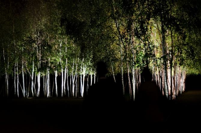 24 fotos incomuns que você precisa olhar duas veze 7