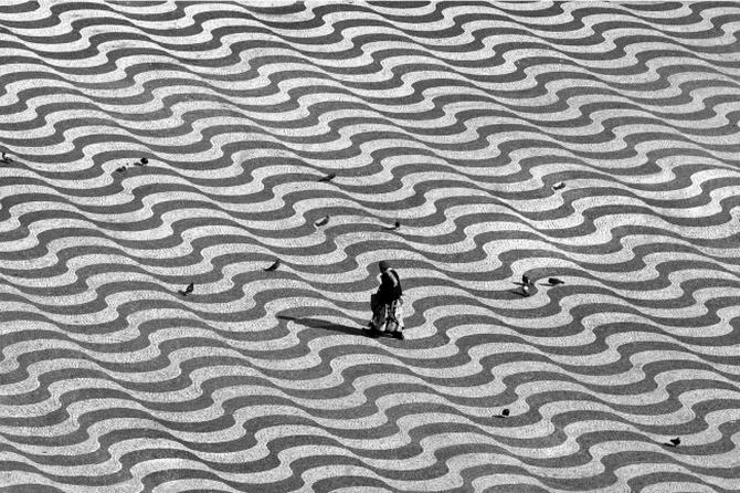 24 fotos incomuns que você precisa olhar duas veze 8