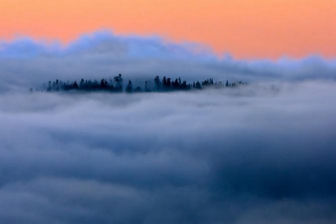 24 fotos incomuns que você precisa olhar duas veze 18