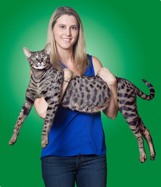 8 gatos únicos na Internet 2