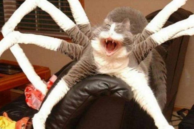 O que esta acontecendo aqui (27 fotos) 19