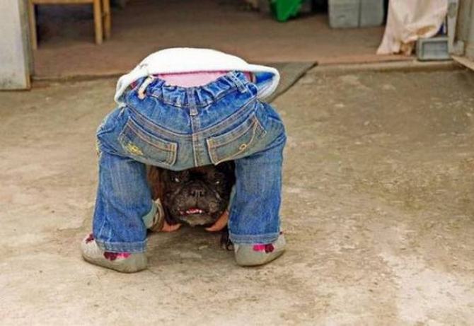 Veja novamente essas fotos. E novamente (24 fotos) 9