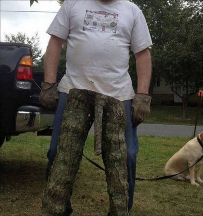 Veja novamente essas fotos. E novamente (24 fotos) 17