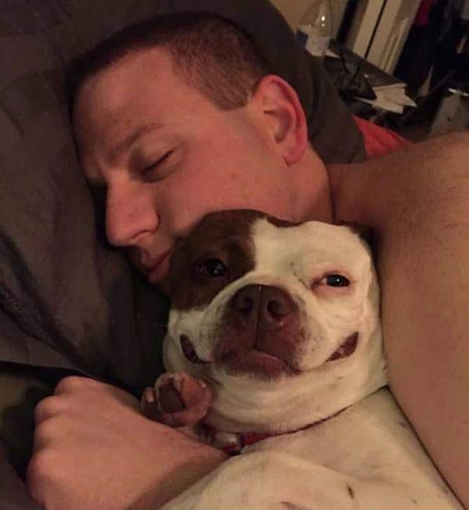 23 animais que quebraram a internet com suas reações inesquecíveis 4