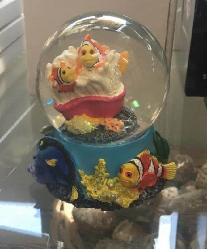 31 casos em que os estagiário falharam logo no seu primeiro dia de trabalho 30