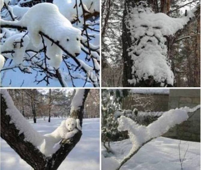 Estes são alguns tipos de super-humanos (29 fotos) 18