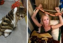 17 fotos divertidas que farão você dizer O QUE ? 43