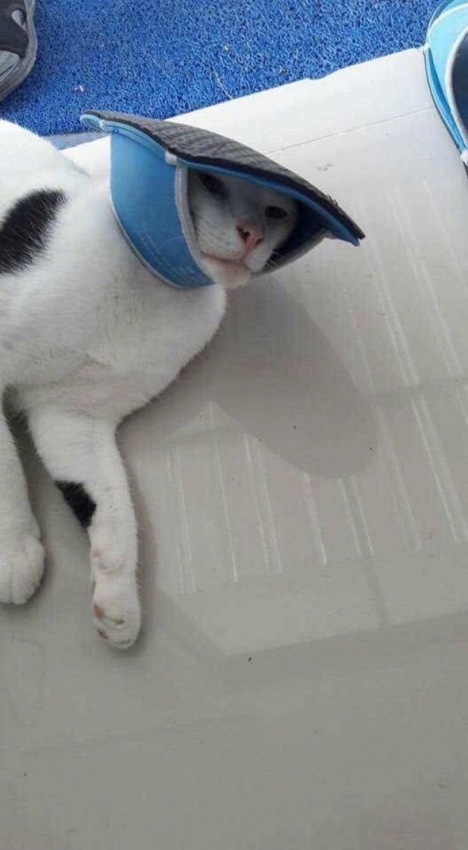 19 fotos com emoções são multidimensionais 2