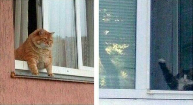 19 fotos com emoções são multidimensionais 5