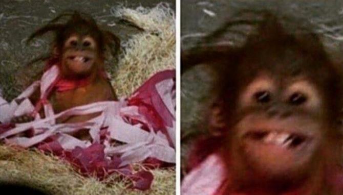 19 fotos com emoções são multidimensionais 7